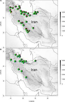 Comparative Analyses of Phytochemical Variation Within and Between Congeneric Species of Willow Herb, Epilobium hirsutum and E. parviflorum: Contribution of Environmental Factors